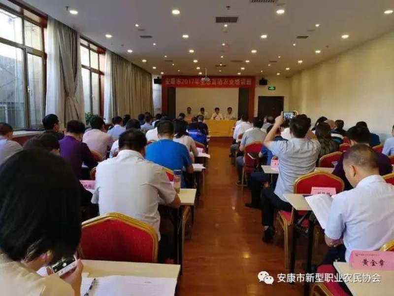 安康月嫂:如何选择最合适的护理专家?
